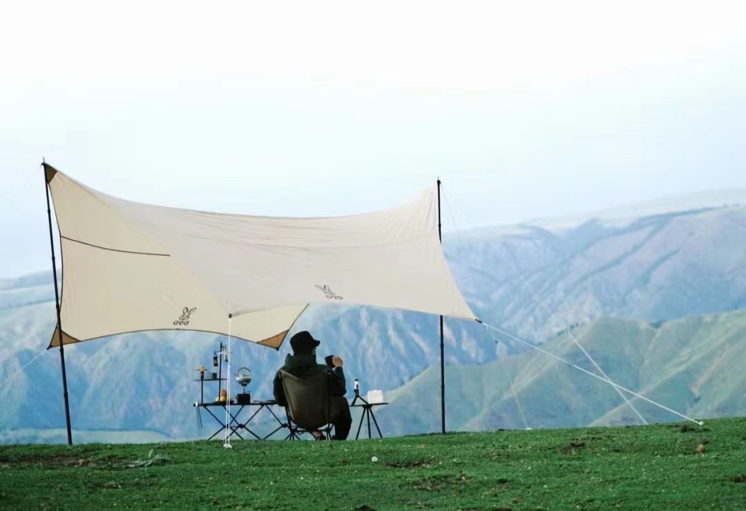 将自(zì)己打包，駕車(chē)送給春和(hé)花(huā)野！