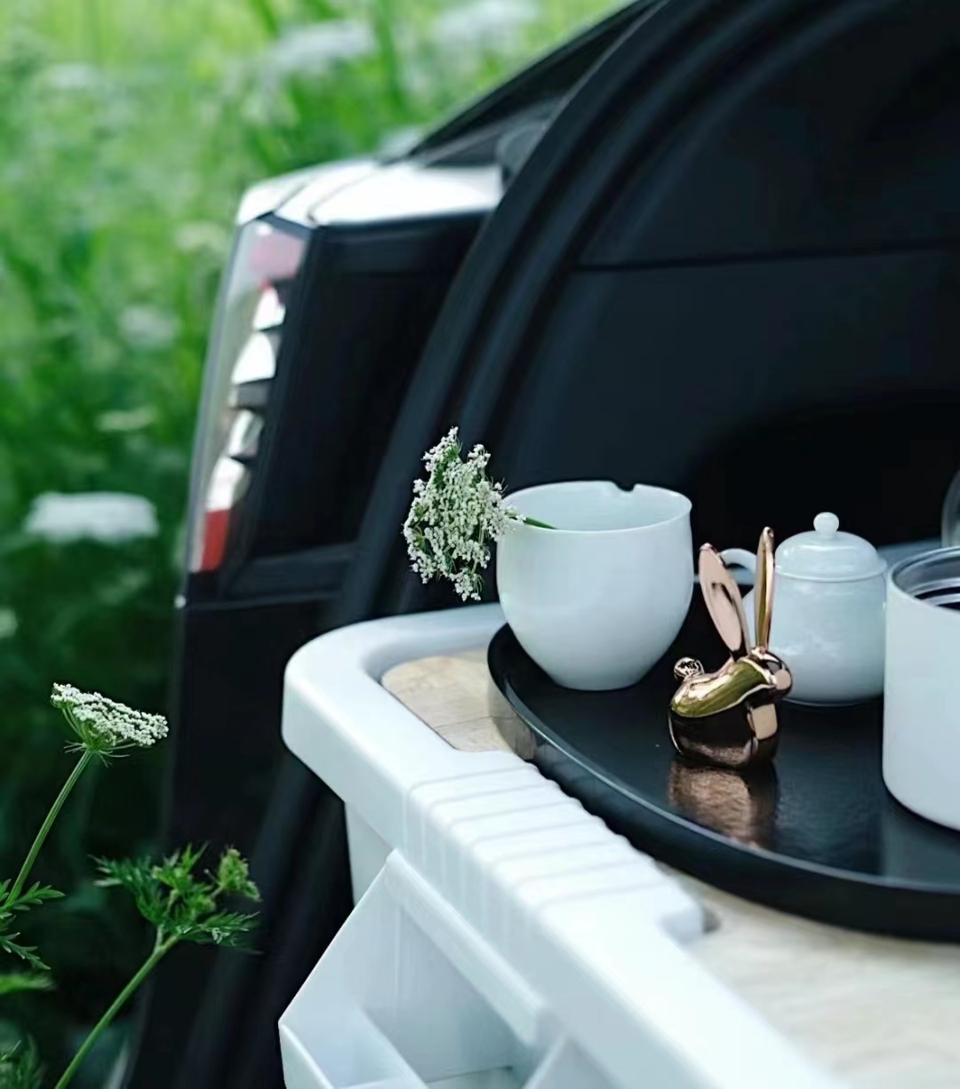 将自(zì)己打包，駕車(chē)送給春和(hé)花(huā)野！